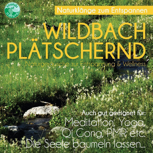 Wildbach plätschernd von Sounds Of Nature